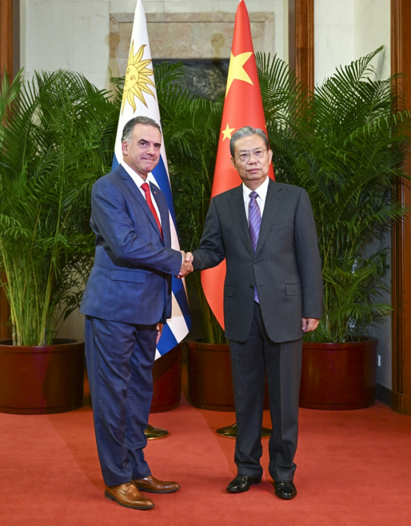 赵乐际会见乌拉圭总统奥尔西相关图片