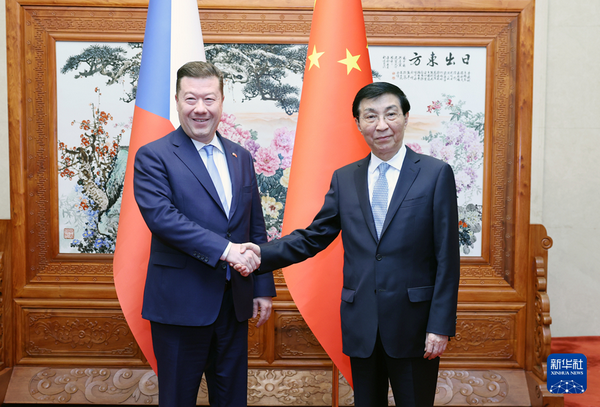 王沪宁会见捷克众议长冈村富夫相关图片